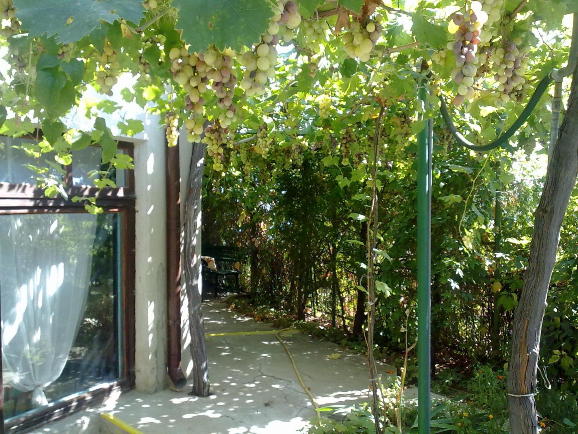 Villa Elfi Altın Kumlar Dış mekan fotoğraf